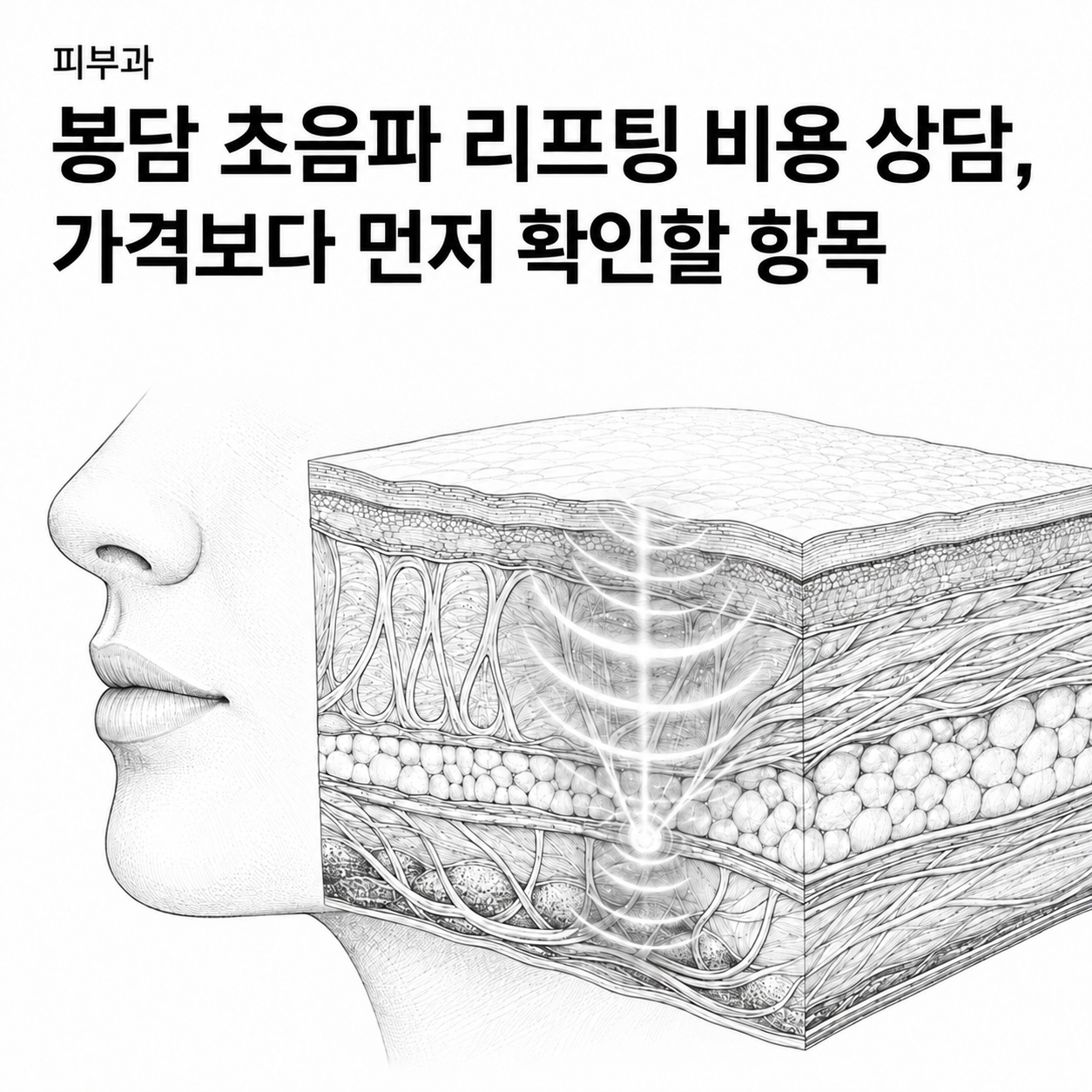 경기도 피부과 봉담 초음파 리프팅 비용 상담, 가격보다 먼저 확인할 항목 핵심 정보 이미지